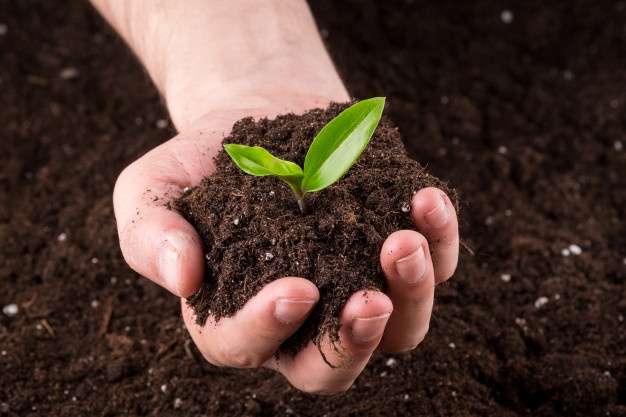 اماده سازی خاک برای کاشت سبزی