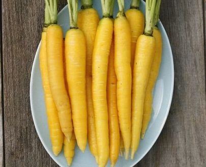 بذر هویج زرد