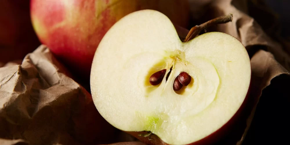  کاشت بذر میوه سیب در گلدان چگونه است با آن اشنا شوید؟