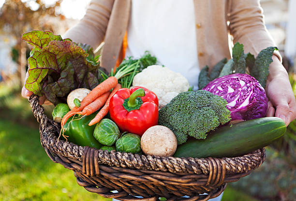 نگهداری سبزیجات در پاییز ( روش اصولی )