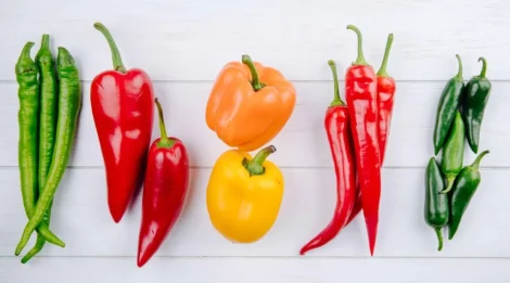کاشت فلفل در پاییز