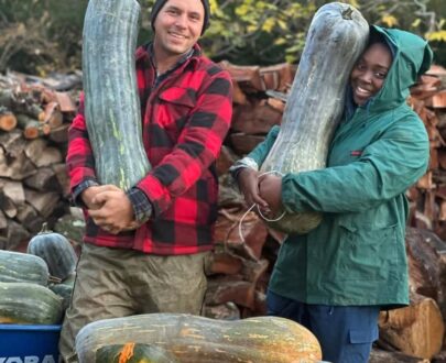 بذر کدو ناپولی