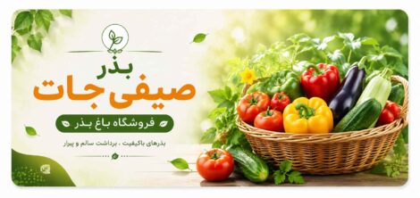 خرید بذر صیفی جات