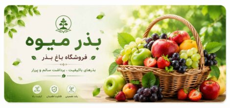 خرید بذر میوه