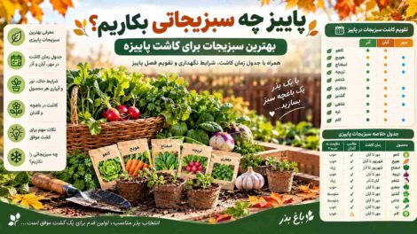 پاییز چه سبزیجاتی بکاریم