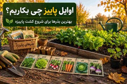 اوایل پاییز چی بکاریم