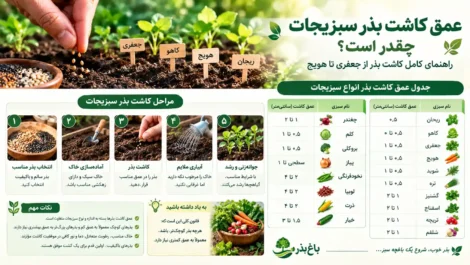 عمق کاشت بذر سبزیجات