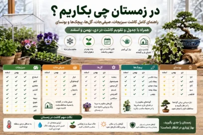 در زمستان چی بکاریم